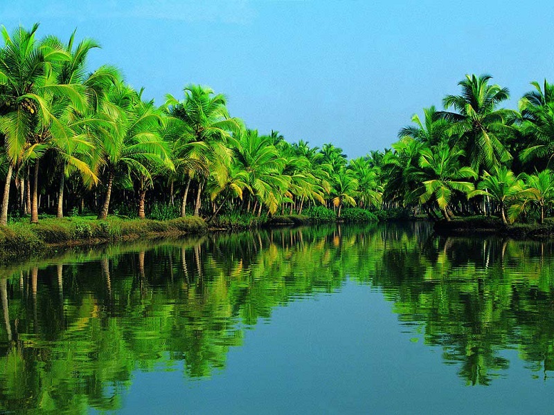 Ben Tre is known as the Land of Coconut