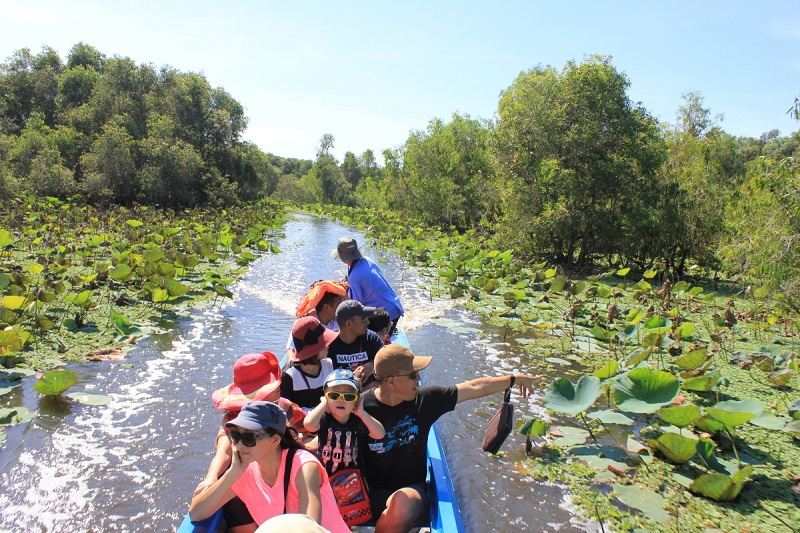 Tra Su Melaleuca Forest