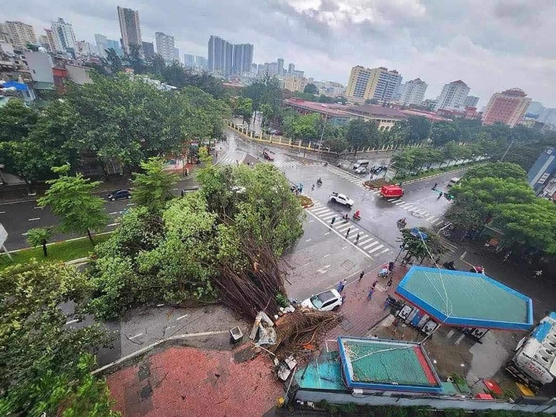 Typhoon Yagi caused tree falls and damage to electrical infrastructure