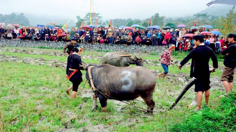 The Long Tong Festival in Cao Bang