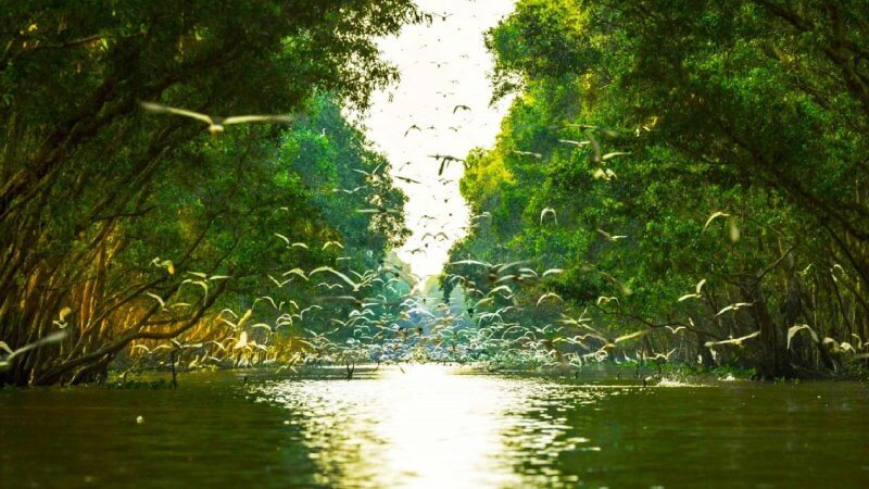 Tram Chim National Park