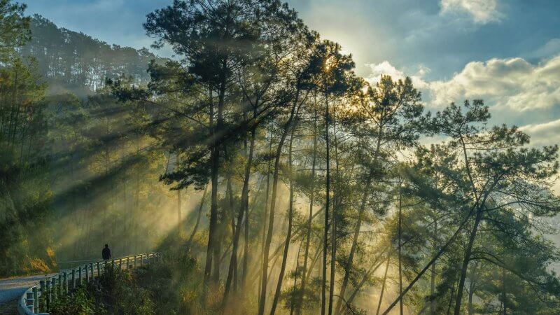 Yen Minh National Park
