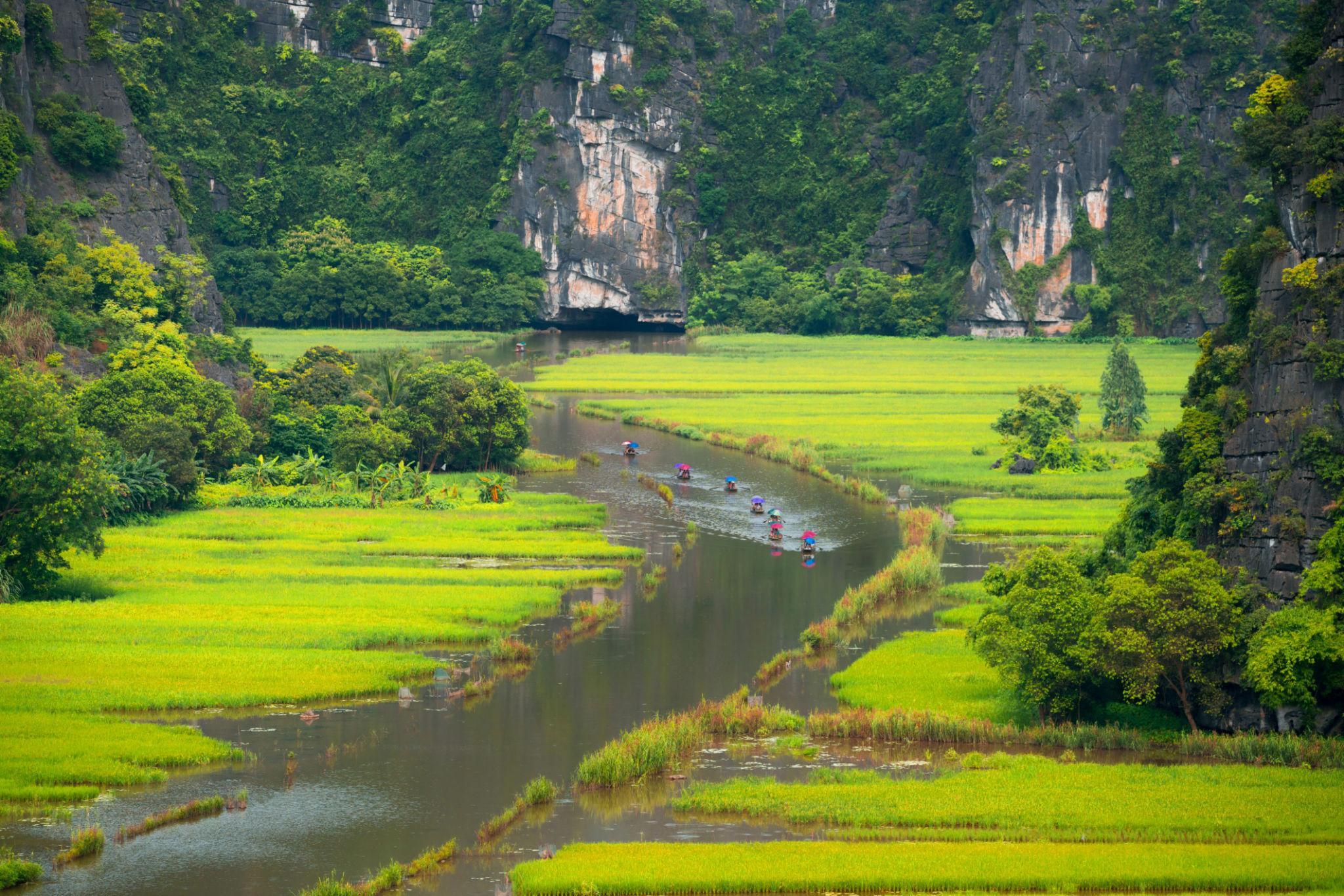 Tam Coc boat trip in Ninh Binh surrounded by limestone mountains and rice fields